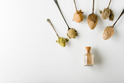 Close-up of food on white background