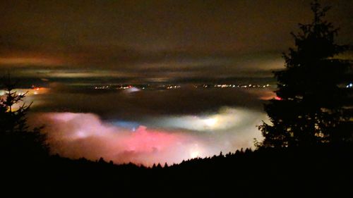 Scenic view of silhouette trees against sky at night