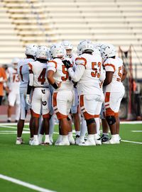 Close-up of figurines on field