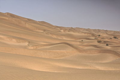 Scenic view of desert against clear sky