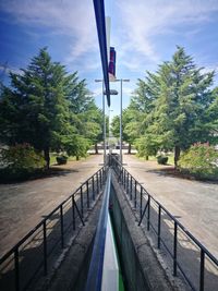 Empty footpath amidst trees against sky