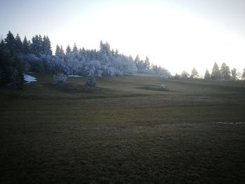 Scenic view of farm against sky