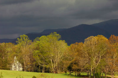Scenic view of trees and mountains against sky