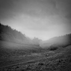 Scenic view of field against cloudy sky