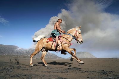 Full length of young man riding horse on sand against sky