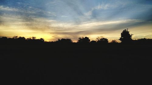 Silhouette trees against sky during sunset