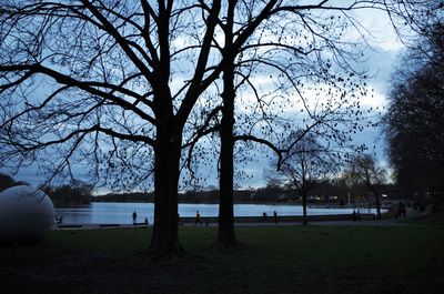 Bare trees on landscape against sky