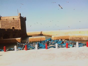 View of birds on beach