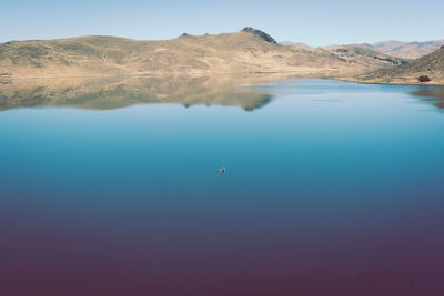 Scenic view of lake against blue sky