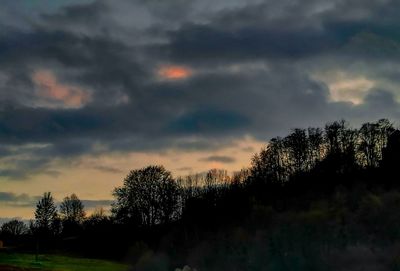 Silhouette trees on field against sky at sunset