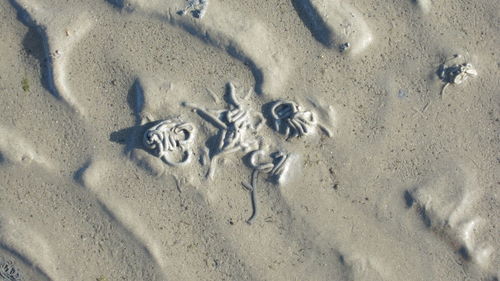 High angle view of footprints on sand