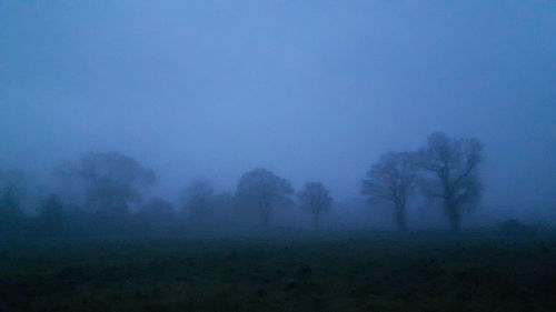 Silhouette trees against blue sky at night