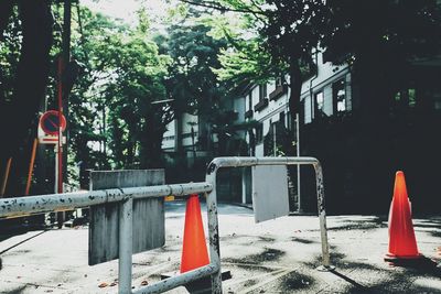 Trees against built structure