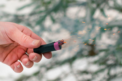 Close-up of hand holding flower