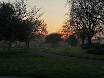 Trees in park against sky during sunset