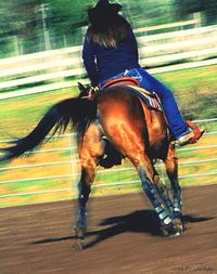 Rear view of woman riding horse