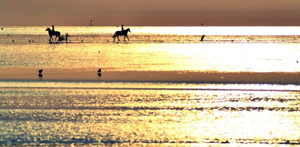 Silhouette people on beach against sky