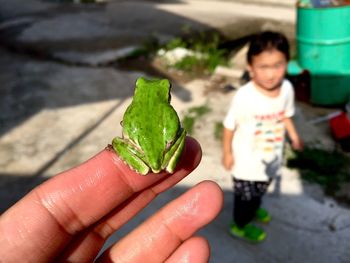 Cropped hand with green frog against child during sunny day