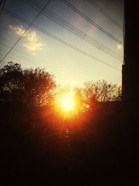 Silhouette of trees at sunset