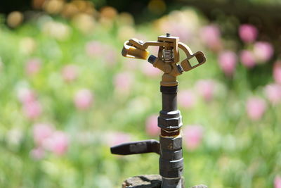 Close-up of sprinkler in yard