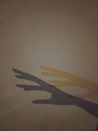 Shadow of hand on wall