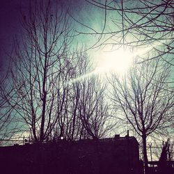 Low angle view of bare trees against sky