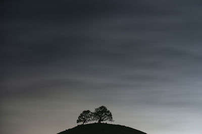 Low angle view of silhouette tree against sky