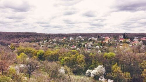 Scenic view of flowering plants and trees against sky