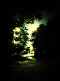 Road along trees at night