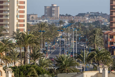 Palm trees by swimming pool against buildings in city