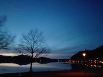 Silhouette bare trees against blue sky at night