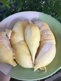 High angle view of fruits in plate