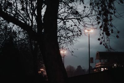 Silhouette trees against sky at night