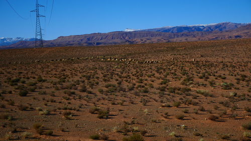 Scenic view of desert against clear sky