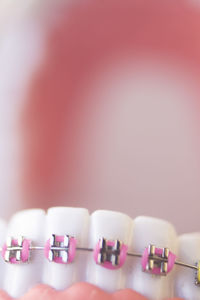 Close-up of artificial teeth