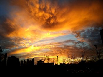 Silhouette of trees against dramatic sky