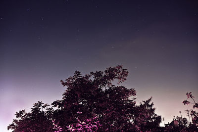 Low angle view of star field against star field