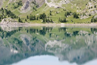 Reflection of trees in lake