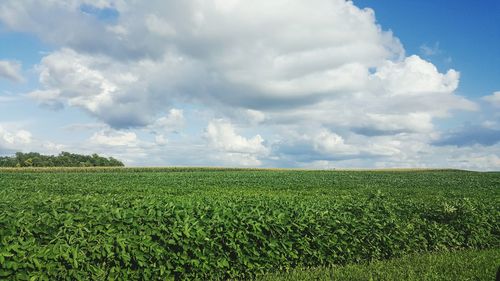 Scenic view of landscape against cloudy sky