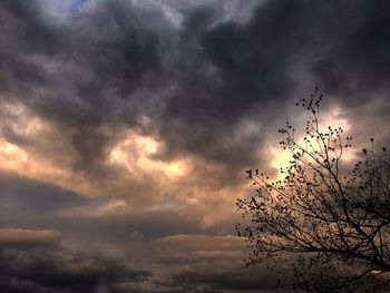 Low angle view of trees against cloudy sky