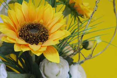 Close-up of yellow flowers