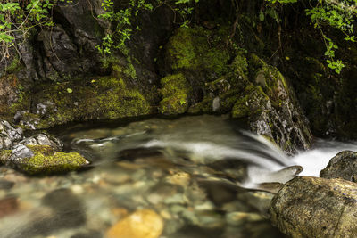 View of waterfall in forest