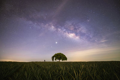 Landscape with milky way.