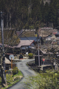 Houses by trees and plants in forest