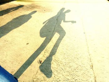 High angle view of shadow on road