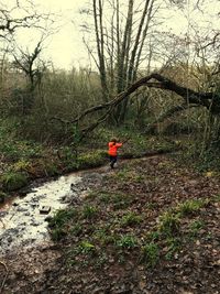 Rear view of person walking in forest