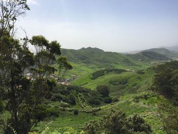 High angle view of trees on landscape against sky