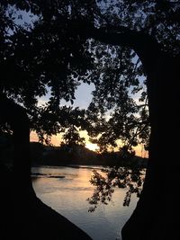 Silhouette tree by lake against sky during sunset