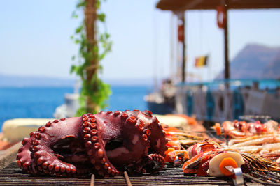 Close-up of octopus on barbeque grill