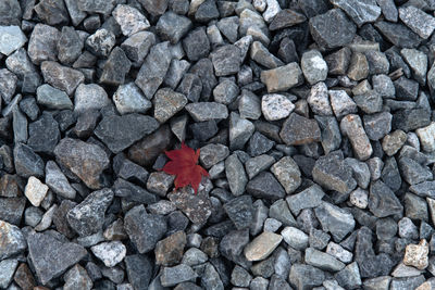 soil